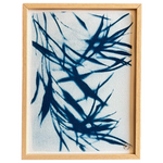 C-134-XS-cyanotype-givré-les-poesies-vegetales-1