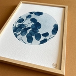 C-135-XS-cyanotype-givré-les-poesies-vegetales-2