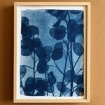 C-138-XS-cyanotype-givré-les-poesies-vegetales-2