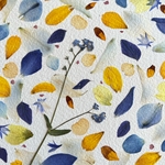h-448-xs-herbier-fleurs-les-poesies-vegetales-3