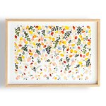tirage-art-acacia-les-poesies-vegetales-3