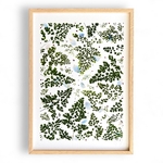 tirage-art-canopee-les-poesies-vegetales-4