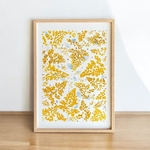 tirage-art-gingko-les-poesies-vegetales-1