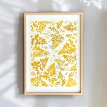 tirage-art-gingko-les-poesies-vegetales-3