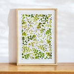 tirage-art-adiantum-les-poesies-vegetales-2