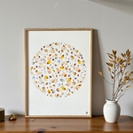 herbier-473-30x40-efflorescence-de-lhiver-lespoesiesvegetales-7
