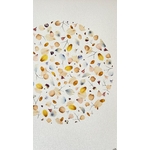 herbier-473-30x40-efflorescence-de-lhiver-lespoesiesvegetales-2