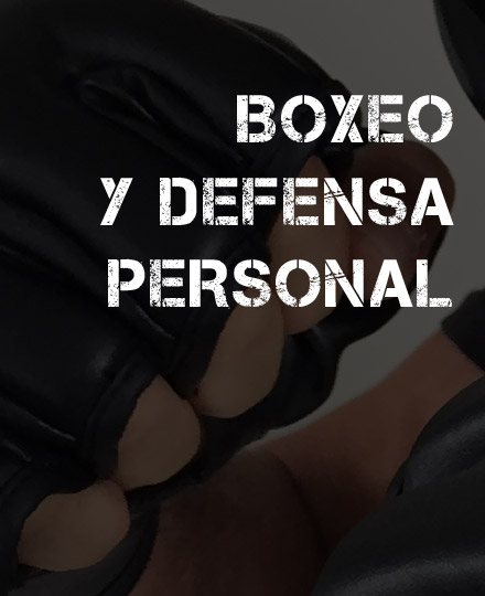 equipamiento de boxeo