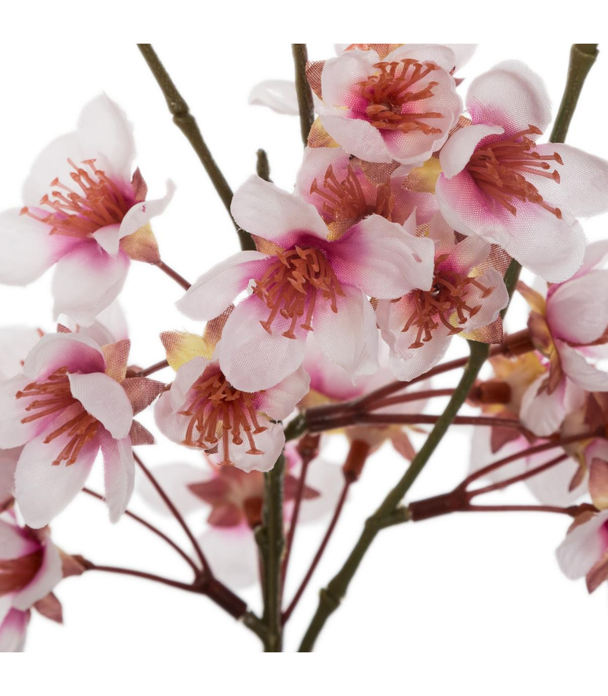 branche-de-cerisier-dans-vase-en-verre-bohemian-dream (2)