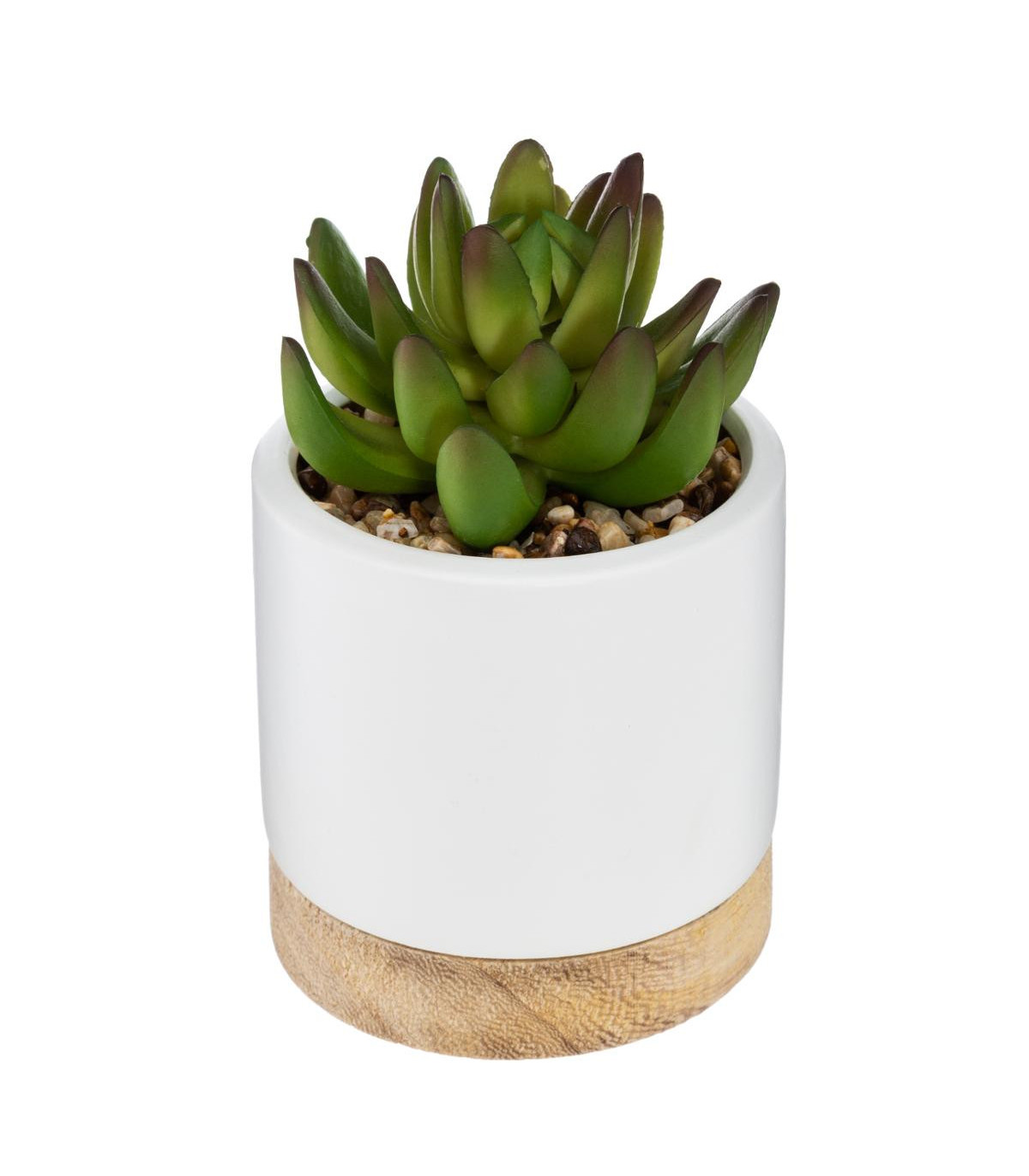 plante-artificielle-succulente-pot-ceramique-et-bois