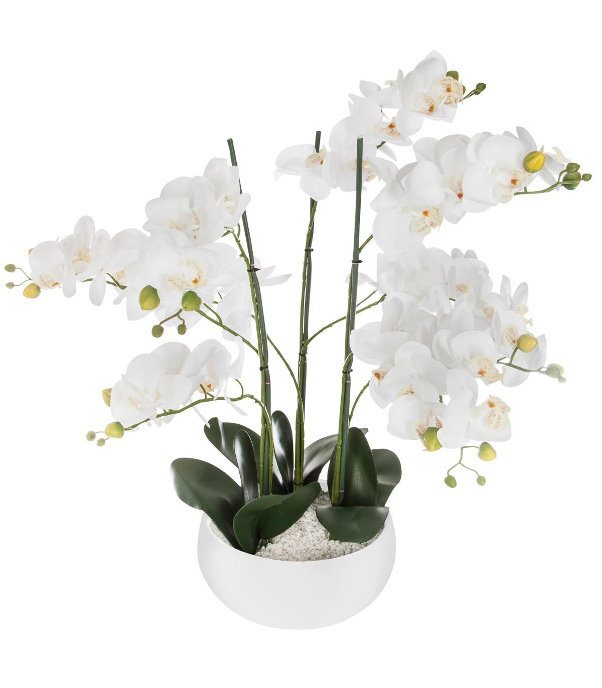 orchidee-pot-ceramique-blanc-h65
