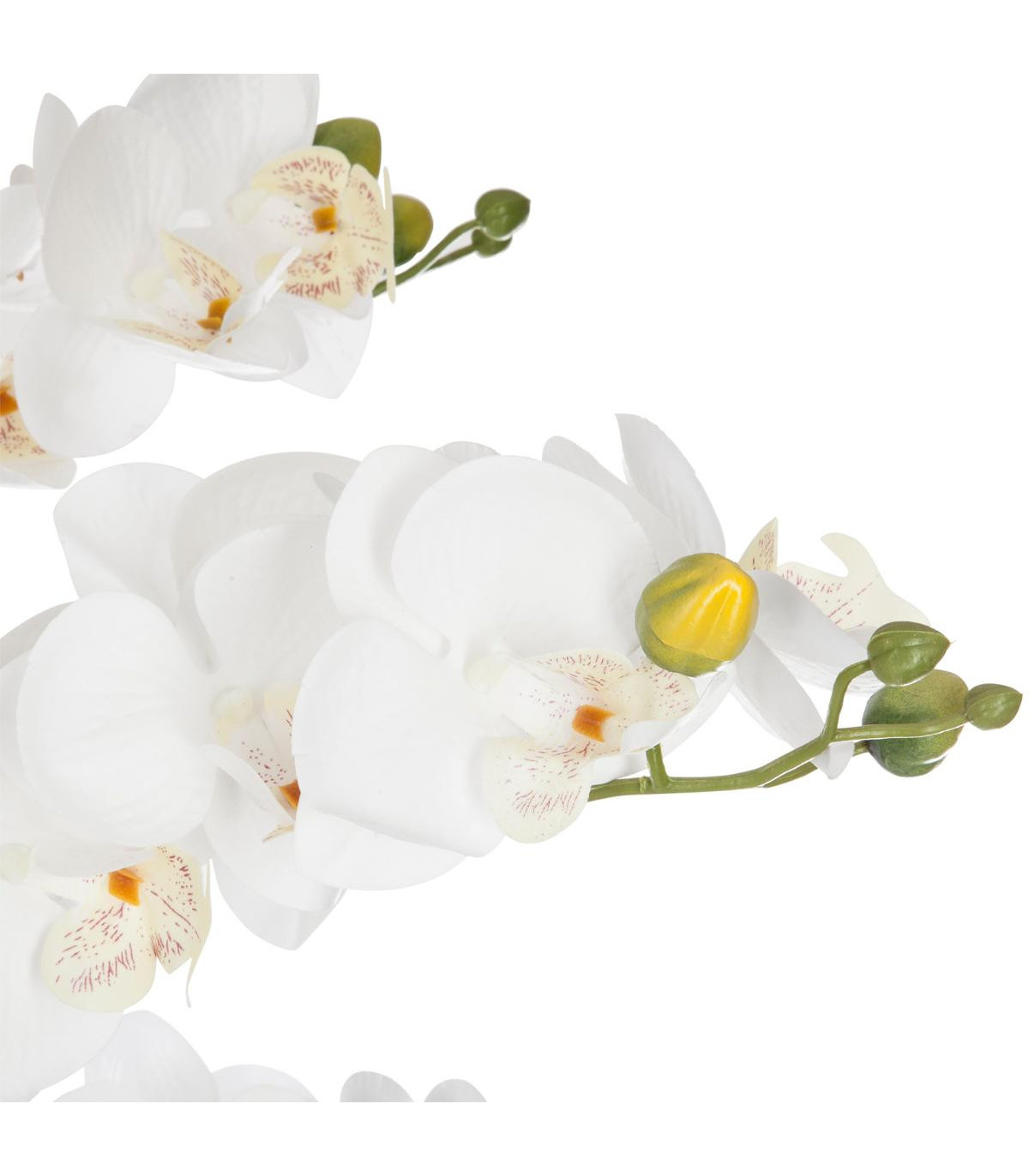 orchidee-pot-ceramique-noir-h65 (1)