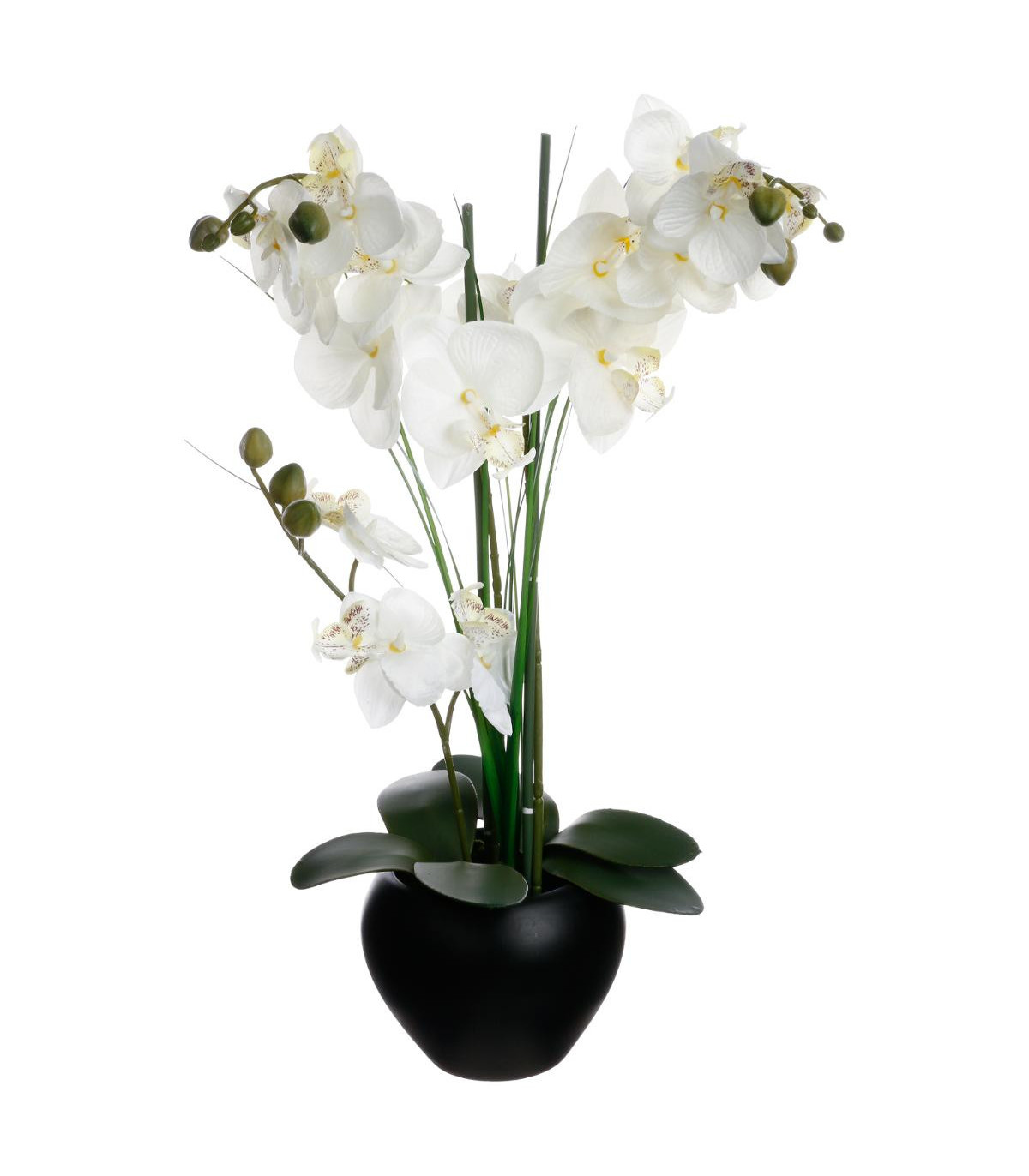 orchidee-vase-ceramique-noir-h53