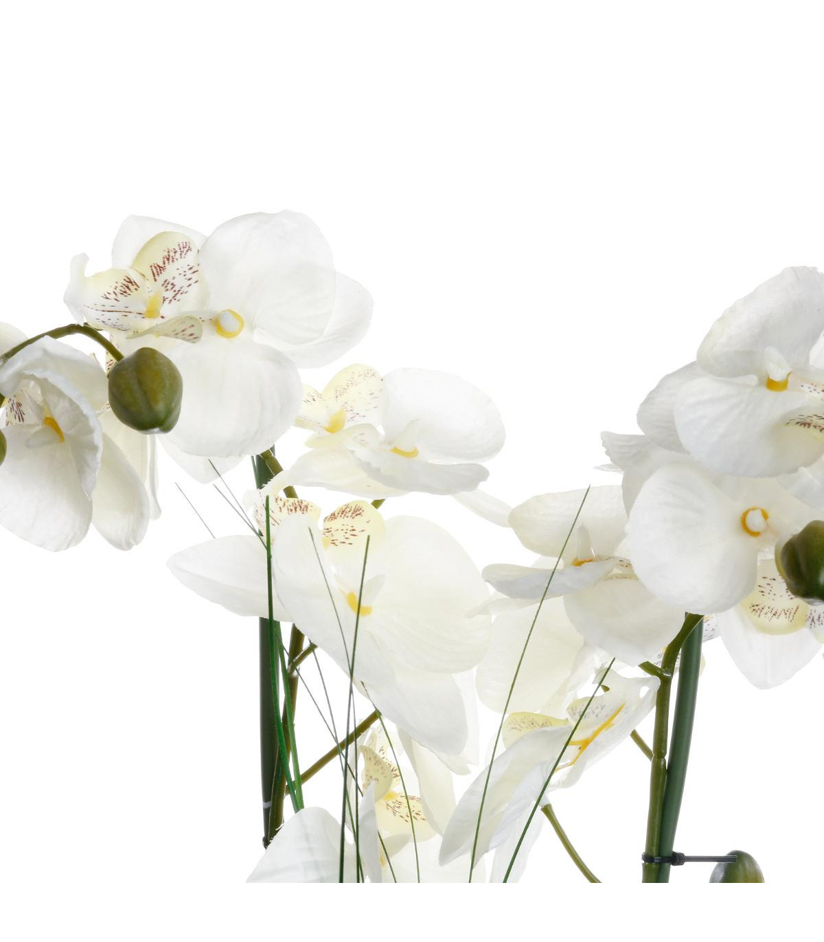 orchidee-vase-ceramique-blanc-h53 (1)