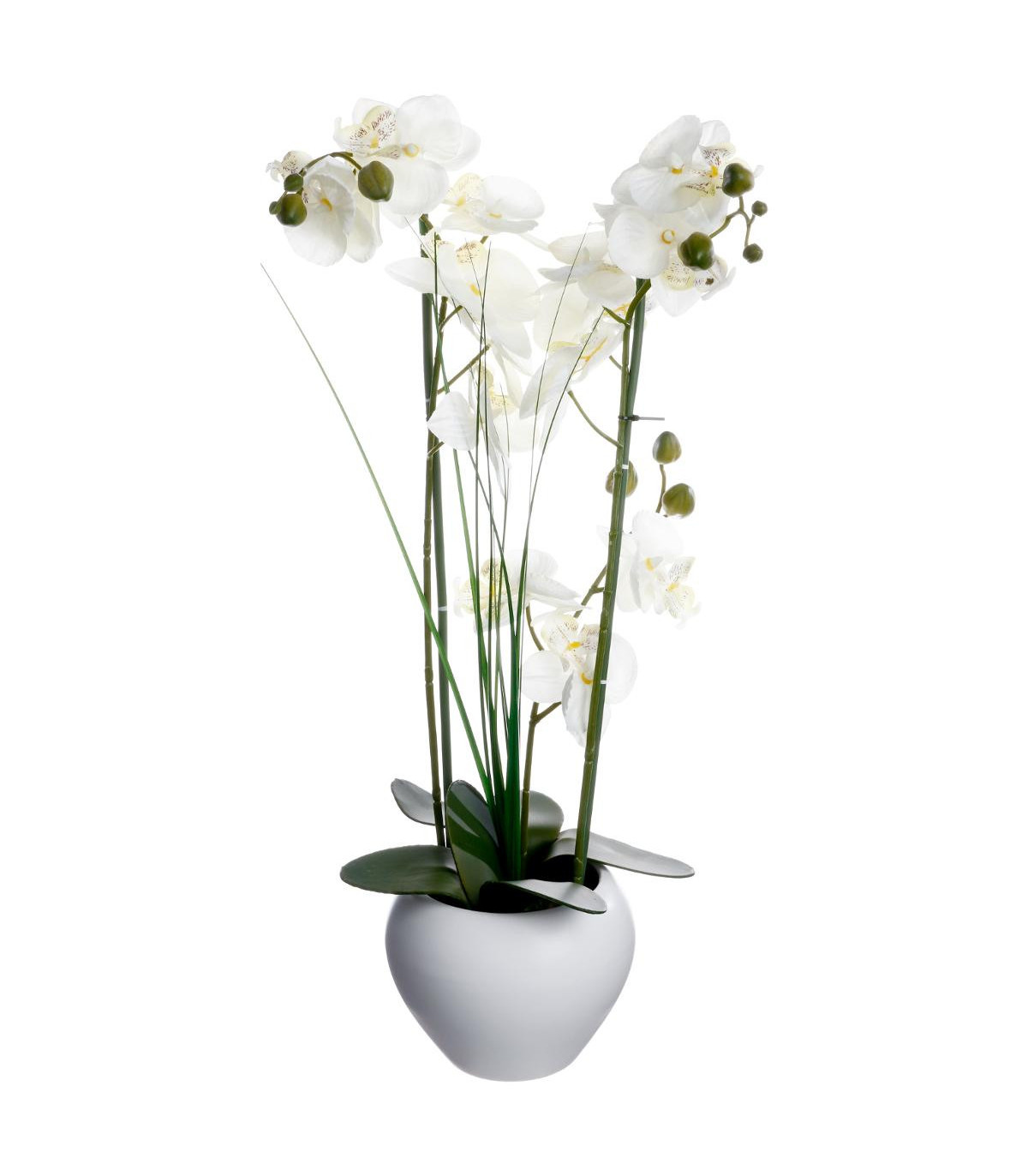 orchidee-vase-ceramique-blanc-h53
