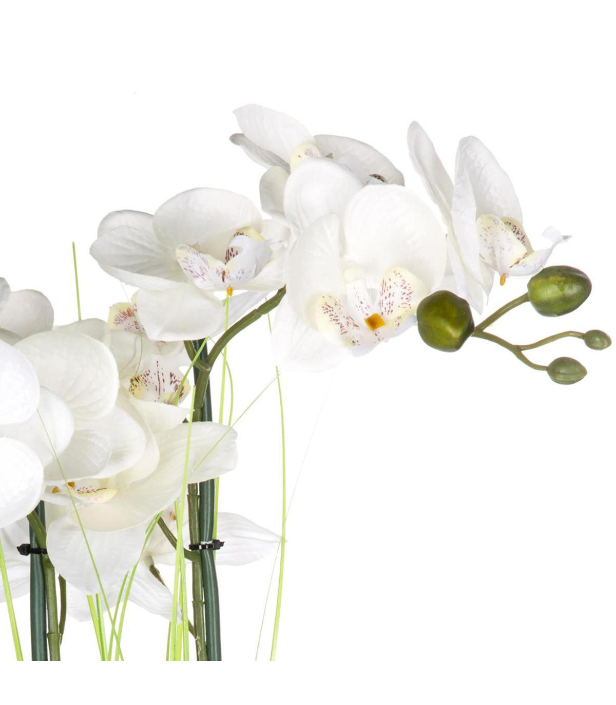 orchidee-vase-argent-h53 (1)