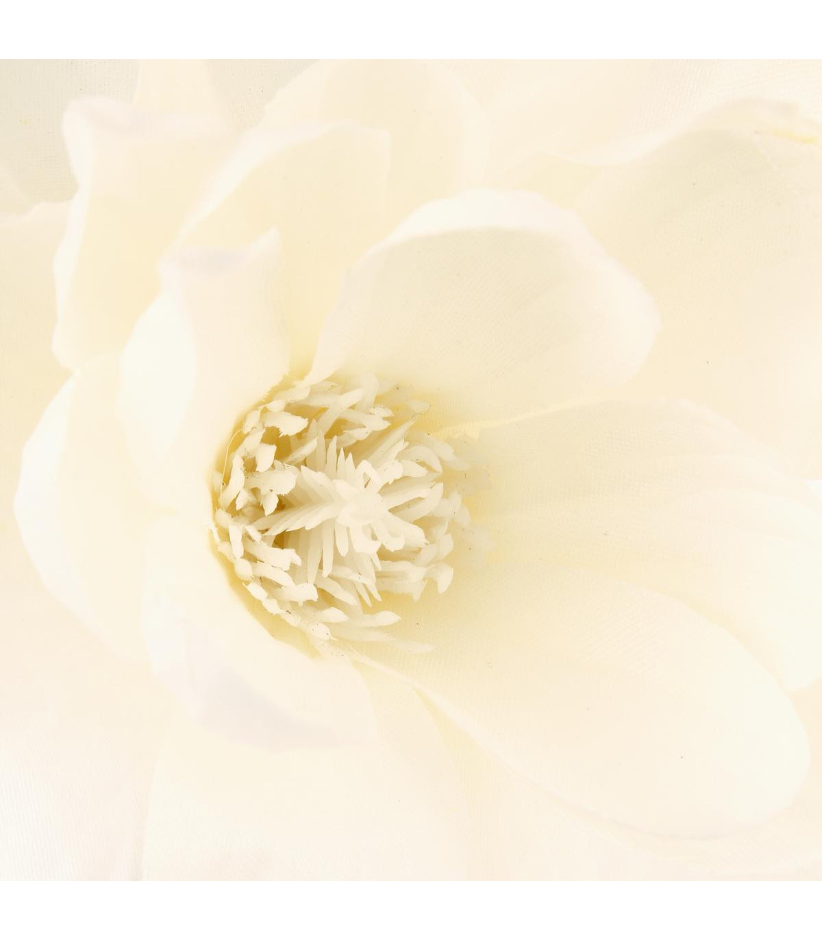 composition-magnolia-en-vase-h75 (1)