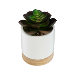 plante-artificielle-succulente-pot-ceramique-et-bois (1)