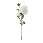 dahlia-3-fleurs-h-62-cm