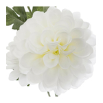dahlia-3-fleurs-h-62-cm (1)