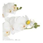 orchidee-pot-ceramique-blanc-h65 (1)