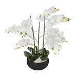 orchidee-pot-ceramique-noir-h65