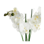 orchidee-vase-ceramique-noir-h53 (1)