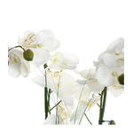 orchidee-vase-ceramique-blanc-h53 (1)
