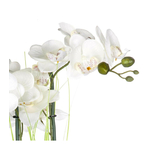 orchidee-vase-argent-h53 (1)