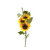 tige-tournesol-h80