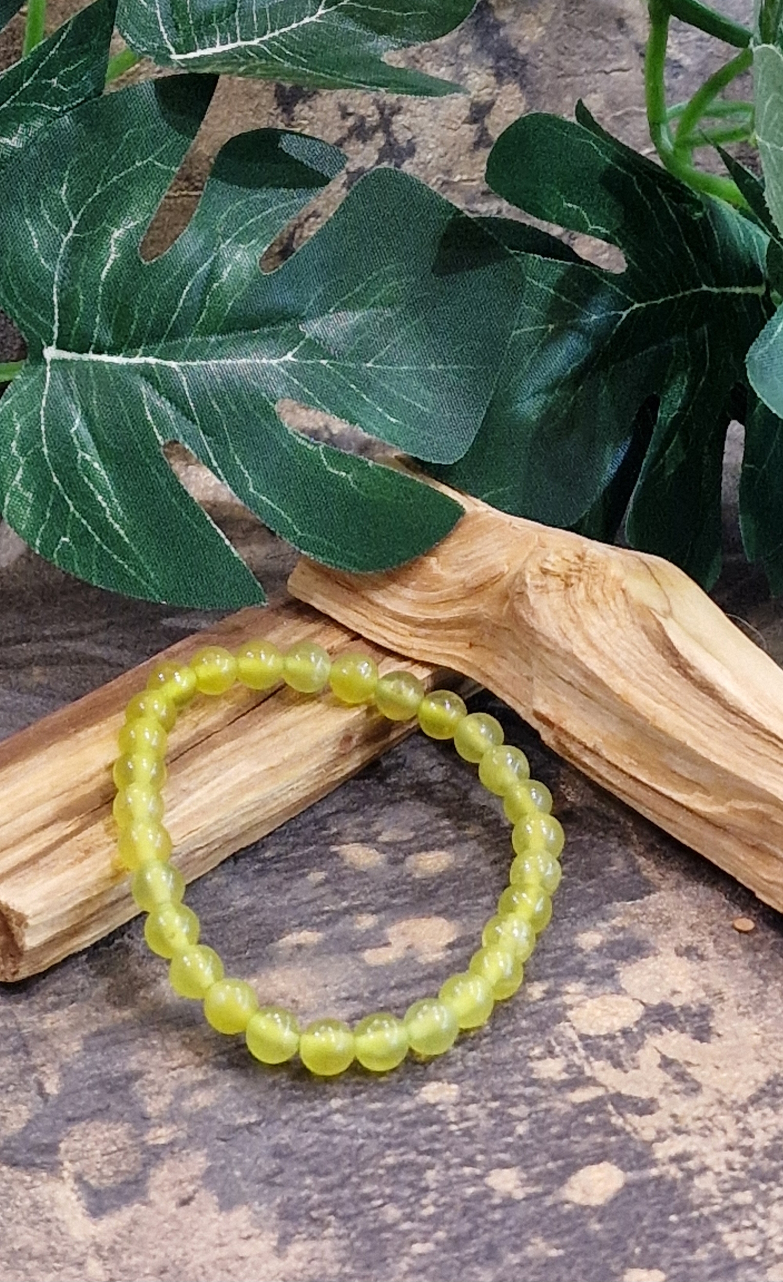 Bracelet 6mm serpentine claire