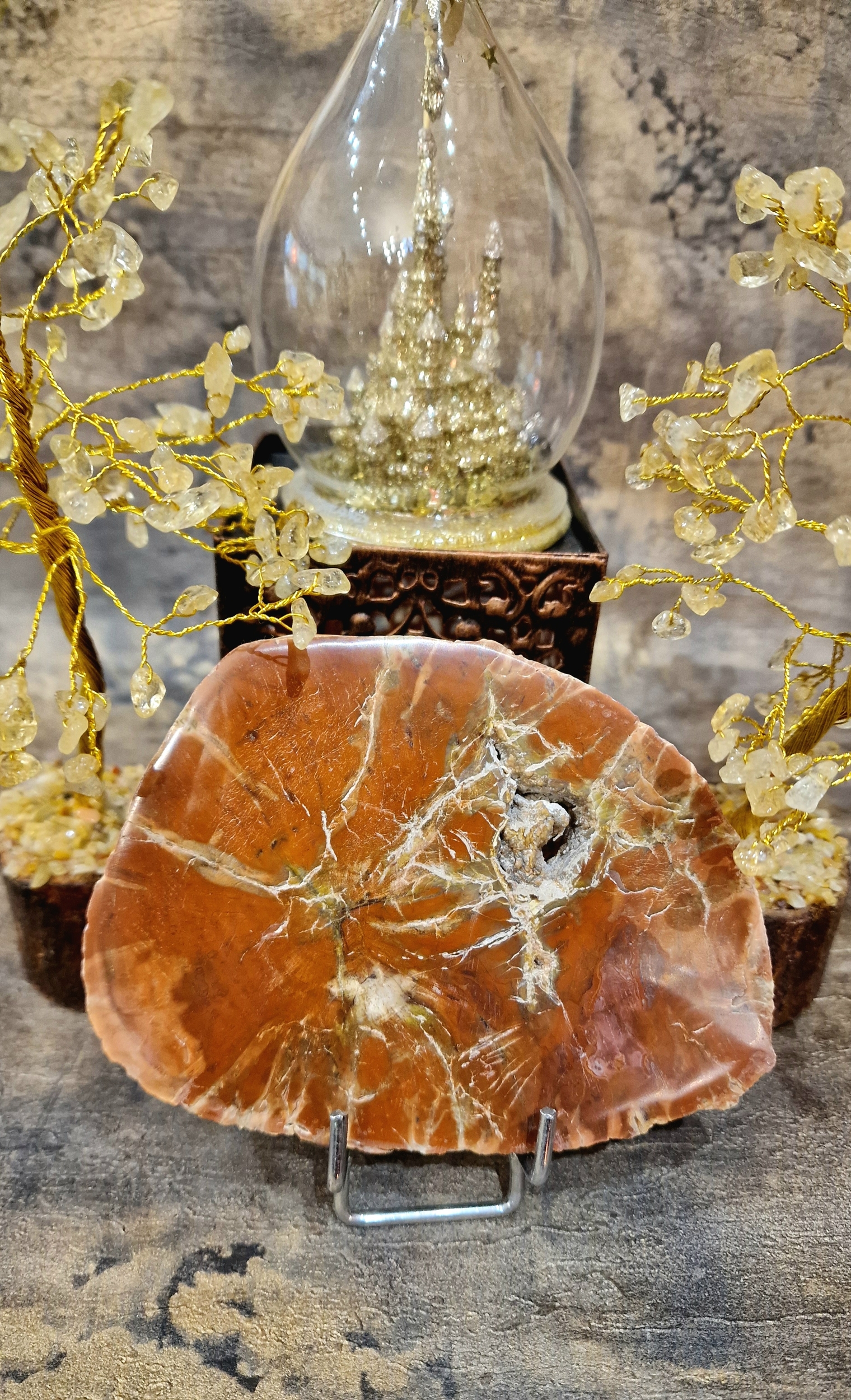 Tranche de bois fossilisé de Madagascar