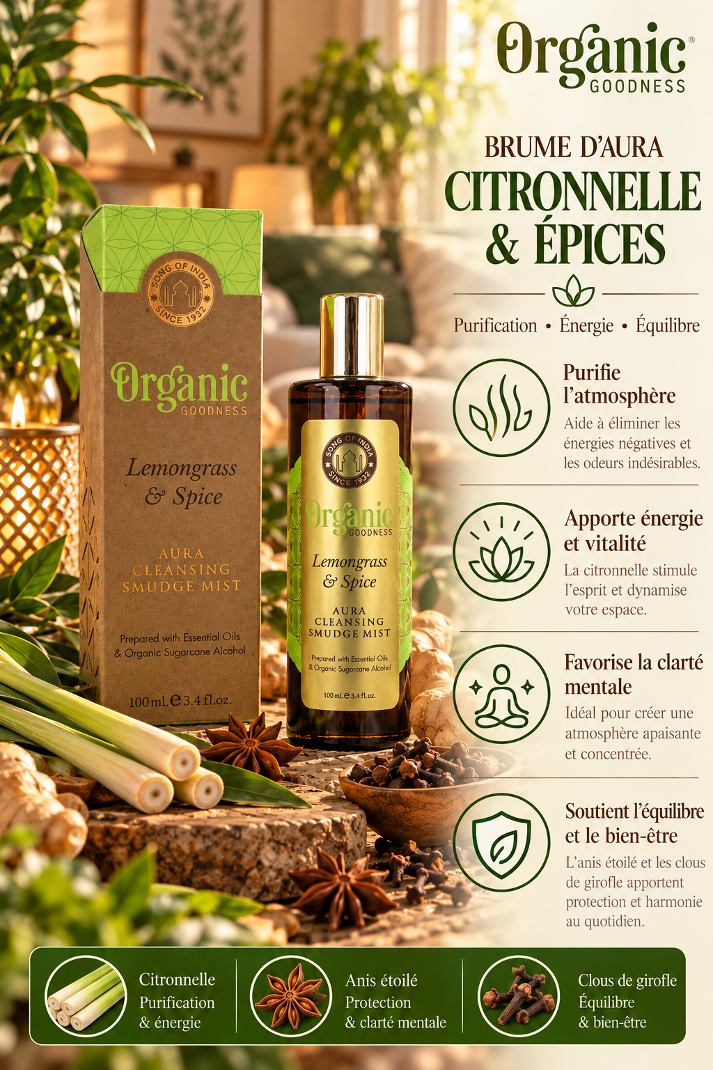 brume-encens-citronnelle-epices-clarte-concentration-et-ouverture-des-chemins-proprietes