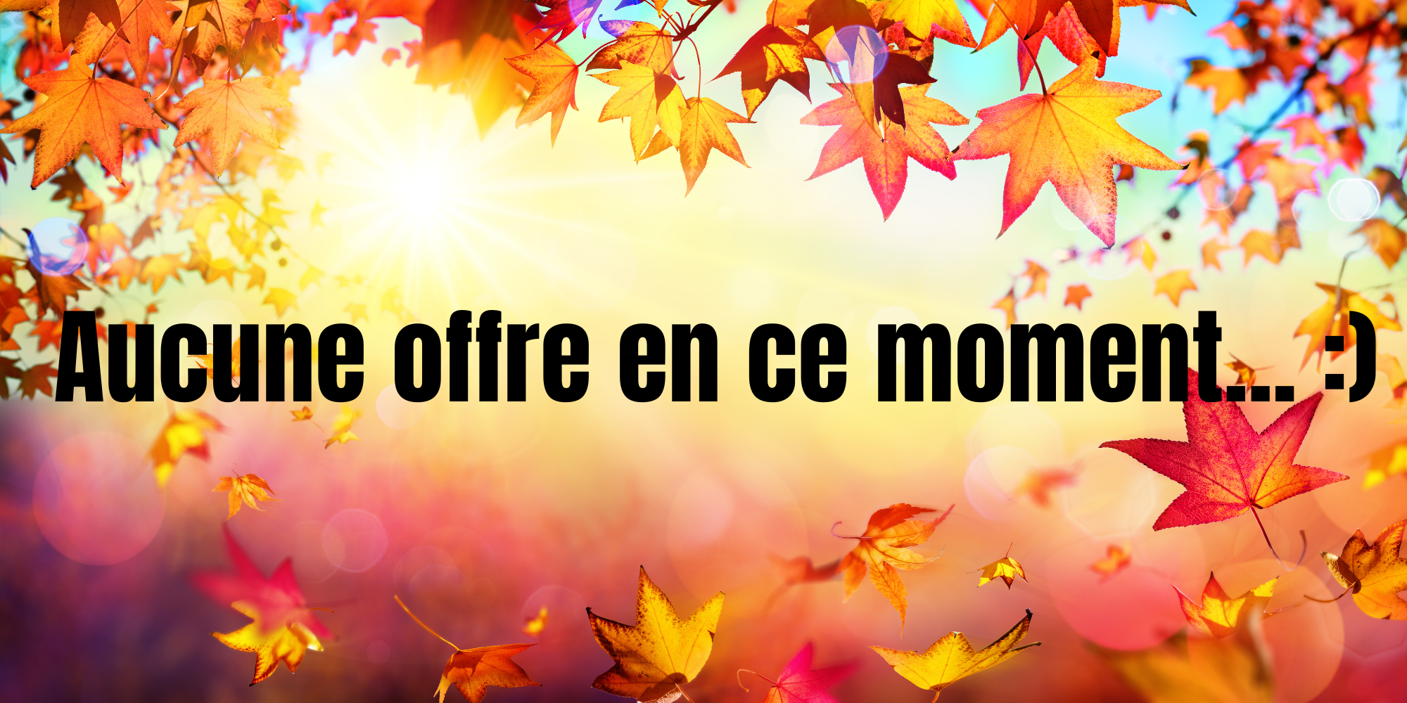 copie de offre du moment