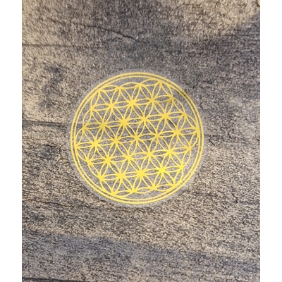 20240913_153249