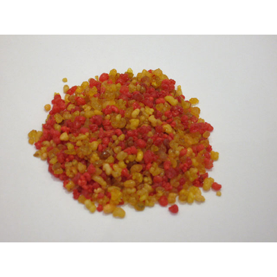 EncensnazarethZOOM