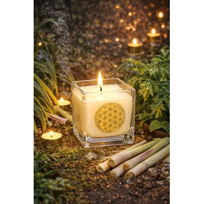 bougie-parfumee-citronnelle-fleur-de-vie