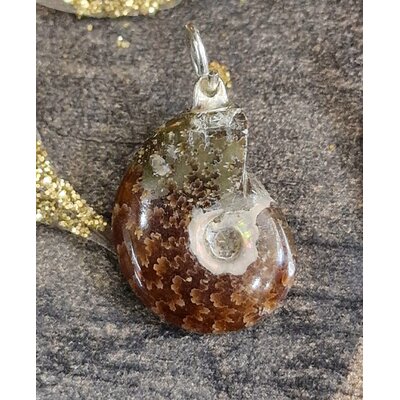 pendentif-fossile-ammonite-102