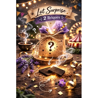 lot-surprise-briques d'encens