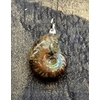 pendentif-ammonite-103