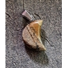 pendentif-lune-jaspe-paysage-B