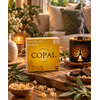 briques-d-encens-copal-aromafume-purification-solaire-clarte-et-elevation