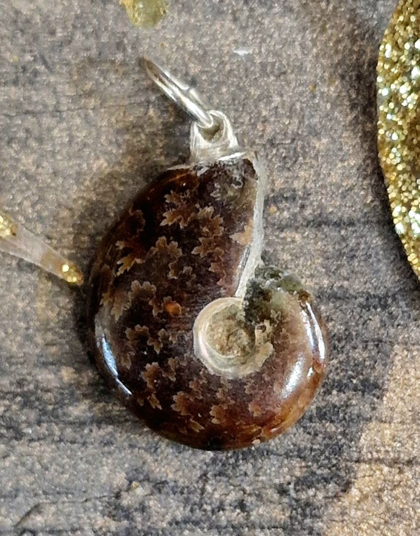 Pendentif Ammonite En Pierre Brute - Collier France Minéraux, Neuf Avec étiquettes
