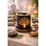 encens-brique-sauge-palo-santo-aromafume1