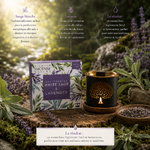briques-encens-sauge-blanche-lavande-aromafume-proprietes