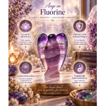 ange-fluorine-proprietes