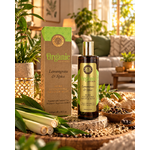 brume-encens-citronnelle-epices-clarte-concentration-et-ouverture-des-chemins