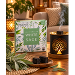 briques-d-encens-sauge-blanche-aromafume-purification-protection-et-renouveau