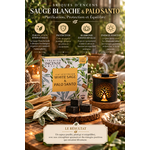 briques-d-encens-sauge-blanche-et-palo-santo-aromafume-purification-protection-et-energie-lumineuse-proprietes