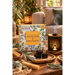 briques-d-encens-sauge-blanche-et-palo-santo-aromafume-purification-protection-et-energie-lumineuse